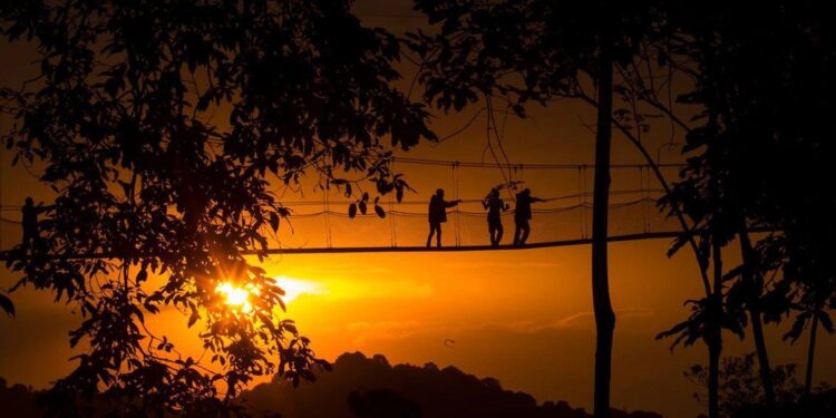 L’UNESCO inscrit 42 nouveaux sites au patrimoine mondial, dont 5 en Afrique