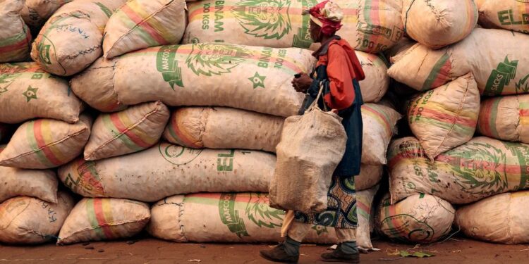 L’indice des prix alimentaires inchangé en septembre malgré la flambée des prix du sucre