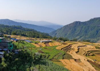 Impact des catastrophes sur l’agriculture : des milliers de milliards de dollars de pertes en 30 ans