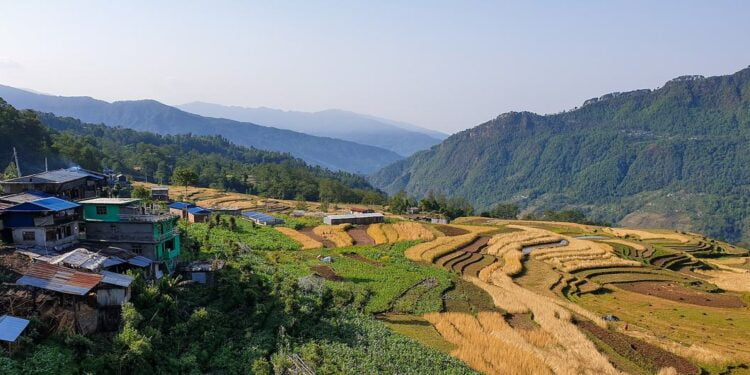 Impact des catastrophes sur l’agriculture : des milliers de milliards de dollars de pertes en 30 ans