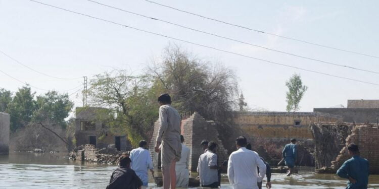 Les cycles de l’eau menacés par le changement climatique et les activités humaines