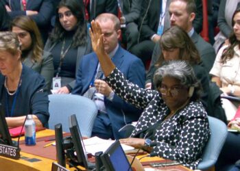 Impasse au Conseil de sécurité sur Gaza : et maintenant ?