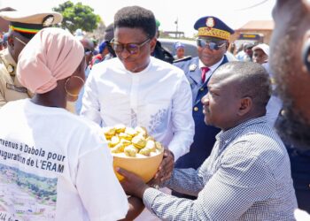 Le Ministre de l’Enseignement Technique, de la Formation Professionnelle et de l’Emploi, Alpha Bacar Barry, a inauguré ce jour l’Ecole Régionale des Arts et Métiers de Dabola.
