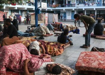 Des cessez-le-feu humanitaires sont essentiels pour répondre aux immenses besoins à Gaza