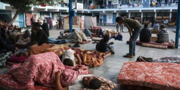 Des cessez-le-feu humanitaires sont essentiels pour répondre aux immenses besoins à Gaza