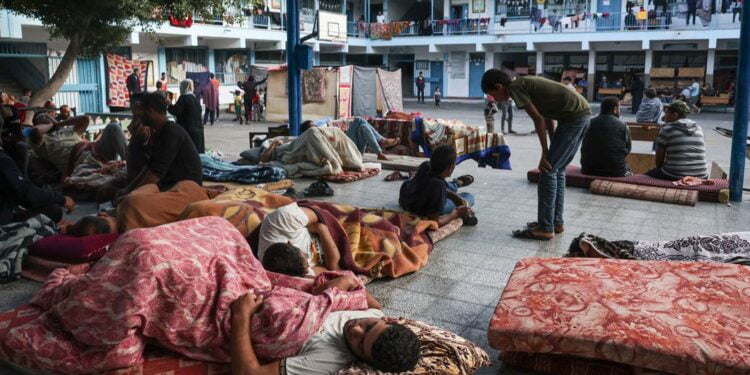 Des cessez-le-feu humanitaires sont essentiels pour répondre aux immenses besoins à Gaza