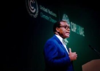 COP28 : les dirigeants africains appellent à un financement robuste pour l’adaptation du continent au changement climatique