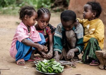 L’ONU a besoin de plus de 46 milliards de dollars pour répondre à l’aggravation des crises en 2024