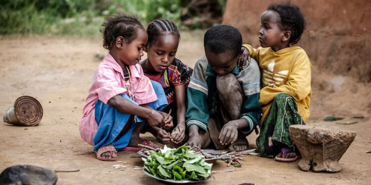 L’ONU a besoin de plus de 46 milliards de dollars pour répondre à l’aggravation des crises en 2024