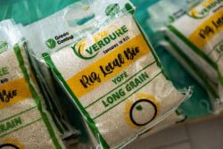 La Banque africaine de développement va investir 10,5 millions de dollars dans le capital de Seedstars Africa Ventures pour stimuler l’investissement dans des entreprises innovantes