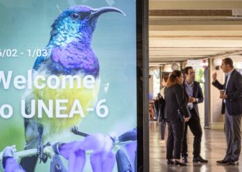 Qu’est-ce que l’Assemblée des Nations Unies pour l’Environnement et pourquoi est-ce important ?