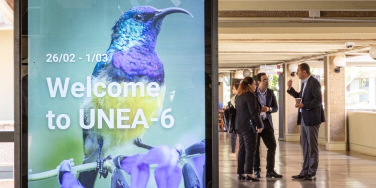 Qu’est-ce que l’Assemblée des Nations Unies pour l’Environnement et pourquoi est-ce important ?