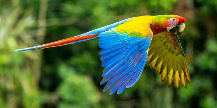 Appel à l’action et à des solutions à l’Assemblée des Nations Unies pour l’environnement