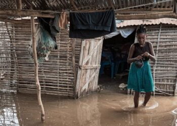 A l’Assemblée de l’ONU pour l’environnement, le monde affronte la « triple crise planétaire »