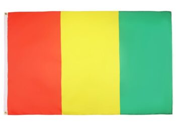 Guinée : qui du gouvernement sextape et du gouvernement d’Union Nationale remportera ?   