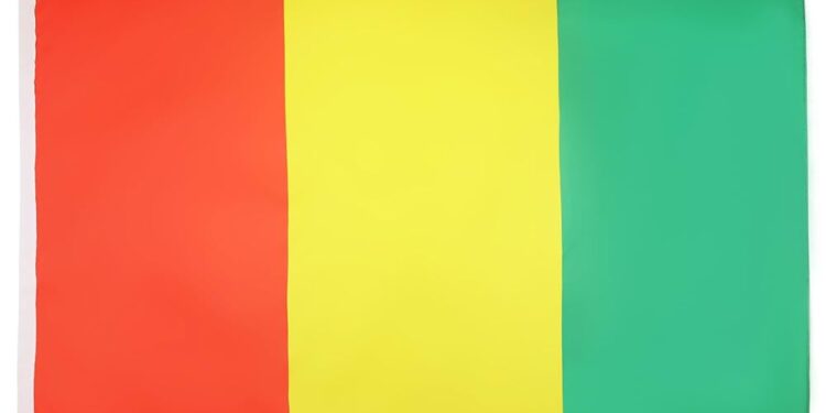 Guinée : qui du gouvernement sextape et du gouvernement d’Union Nationale remportera ?