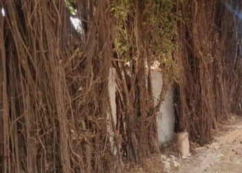 Affaire « Badala », la justice rétablit Tidiane Soumah dans ses droits