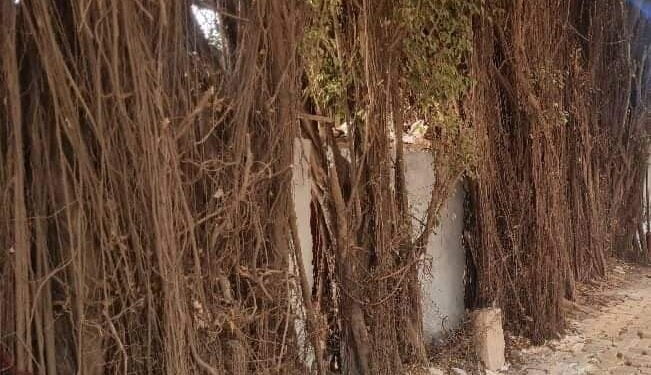 Affaire « Badala », la justice rétablit Tidiane Soumah dans ses droits