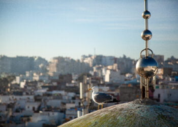 De l’eau pour demain : Tanger se mobilise pour l’or bleu