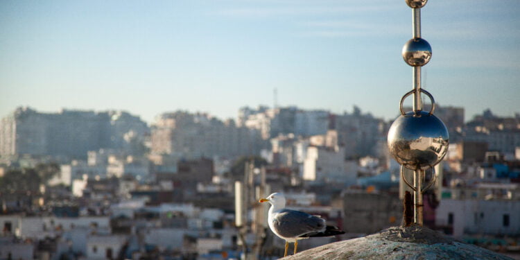 De l’eau pour demain : Tanger se mobilise pour l’or bleu
