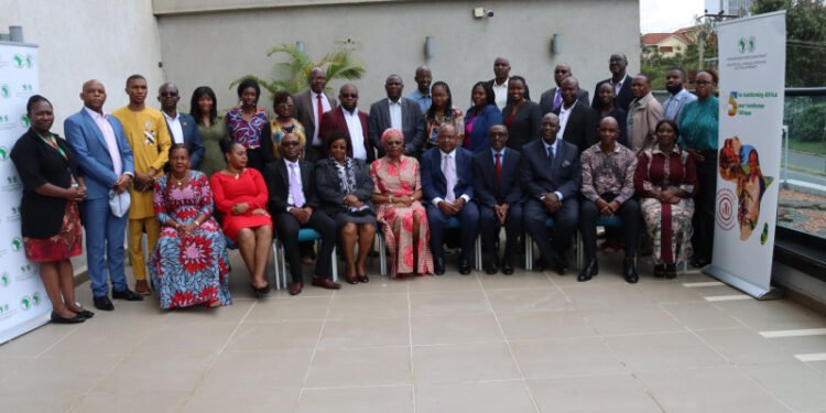 La Banque africaine de développement renforce les programmes Empowering Novel Agri-Business-Led Employment (ENABLE) Youth pour accroître leur impact