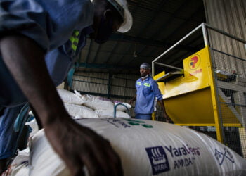 Le Mécanisme africain de financement du développement des engrais reçoit 7,3 millions de dollars pour stimuler la productivité agricole et les revenus des petits exploitants agricoles