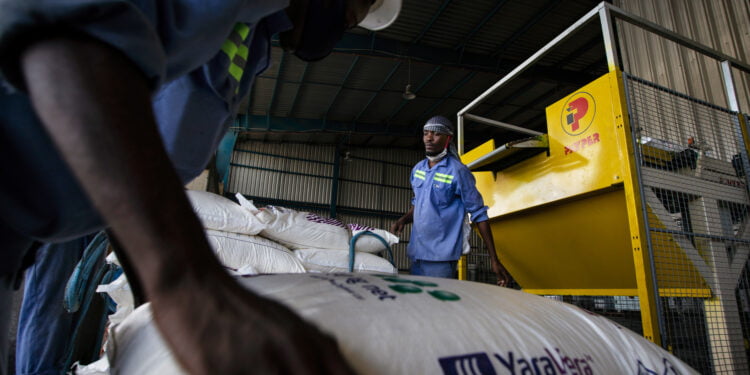 Le Mécanisme africain de financement du développement des engrais reçoit 7,3 millions de dollars pour stimuler la productivité agricole et les revenus des petits exploitants agricoles