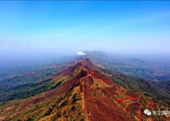 FORUM DE LA CEDEAO : ACCORDS DE FINANCEMENT DE 307 MILLIONS DE DOLLARS ET COOPÉRATION RENFORCÉE