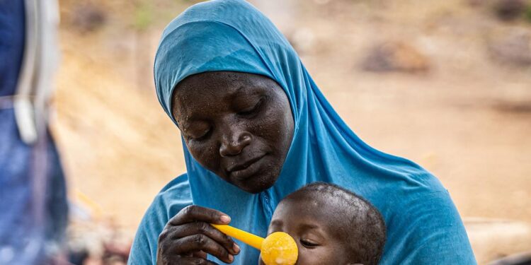 Afrique de l’Ouest et du Centre : 55 millions de personnes confrontées à l’insécurité alimentaire