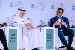 Le président de la Banque africaine de développement appelle les banques multilatérales de développement à adopter une « approche audacieuse et innovante » pour relever les défis mondiaux