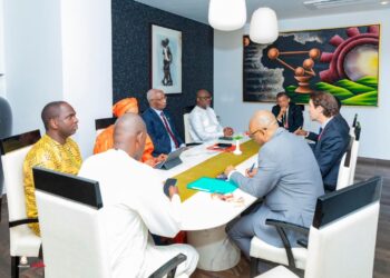 ENERGIE : EDF PROPOSE DES SOLUTIONS À LA GUINÉE