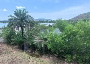 Le Groupe UMS accompagne le grand projet de réhabilitation des têtes de sources des barrages hydroélectriques de Garafiri, Donkéah, Banéah et les Grandes Chutes dans la préfecture de Kindia afin d’améliorer la desserte en courant dans le pays.