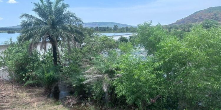 Le Groupe UMS accompagne le grand projet de réhabilitation des têtes de sources des barrages hydroélectriques de Garafiri, Donkéah, Banéah et les Grandes Chutes dans la préfecture de Kindia afin d’améliorer la desserte en courant dans le pays.