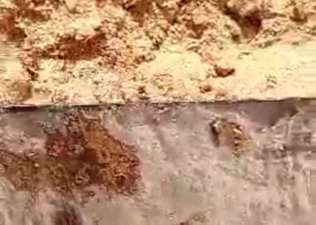 Mandiana-Mines : Le Tribunal dénonce la complaisance des structures de l’Etat à la base dans l’affaire Société New Japan Mining- HonGShing