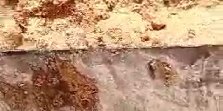 Mandiana-Mines : Le Tribunal dénonce la complaisance des structures de l’Etat à la base dans l’affaire Société New Japan Mining- HonGShing