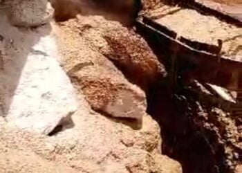 Mandiana-Mines : Le Tribunal dénonce la complaisance des structures de l’Etat à la base dans l’affaire Société New Japan Mining- HonGShing