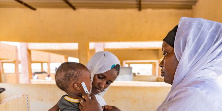 Mali : l’ONU alloue 11 millions de dollars de son fonds d’urgence pour lutter contre l’insécurité alimentaire