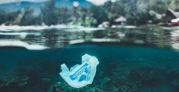 L&rsquo;avis du Tribunal du droit de la mer affirmant le devoir de protéger les océans est « sans précédent » (experts)