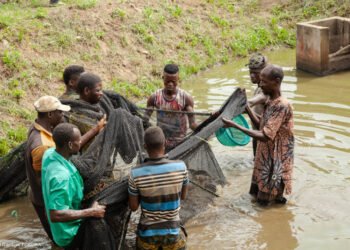 Bénin : un appui décisif du Fonds africain de développement préserve des jeunes ruraux du chemin de l’émigration clandestine vers l’Occident