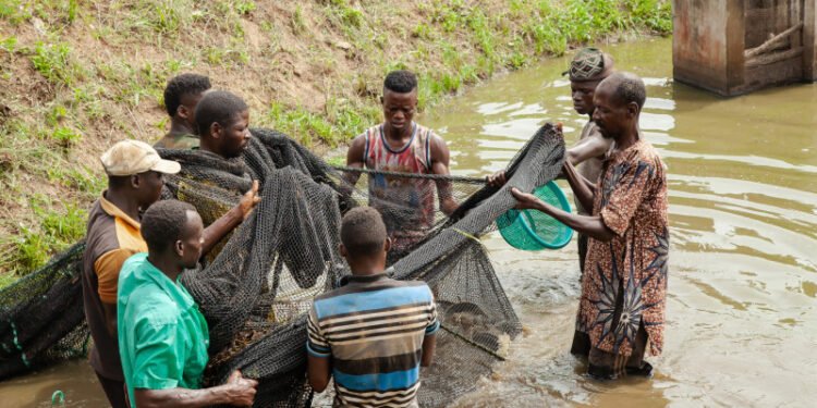 Bénin : un appui décisif du Fonds africain de développement préserve des jeunes ruraux du chemin de l’émigration clandestine vers l’Occident