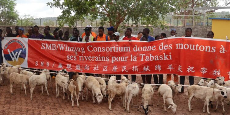 Tabaski : Le Consortium SMB-WINING distribue 294 têtes de moutons à plus de 200 villages des préfectures de Boké et Télimélé