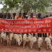 Tabaski : Le Consortium SMB-WINING distribue 294 têtes de moutons à plus de 200 villages des préfectures de Boké et Télimélé