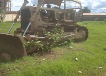 Kouroussa : Les abeilles envahissent le domicile du préfet