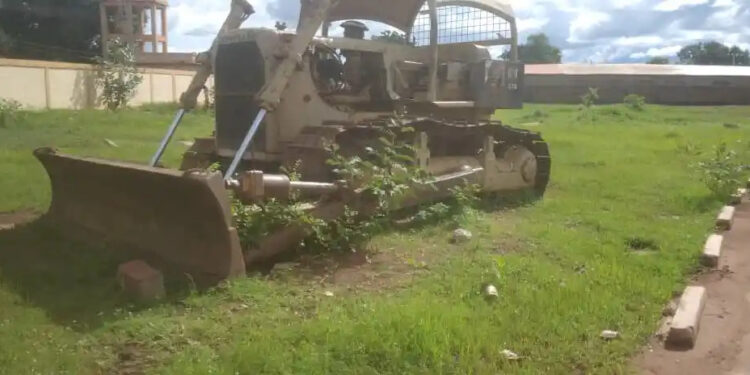 Kouroussa : Les abeilles envahissent le domicile du préfet