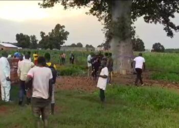 Niani : À la Découverte de l’Ancienne Capitale du Manding