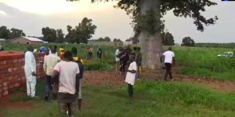 Niani : À la Découverte de l’Ancienne Capitale du Manding