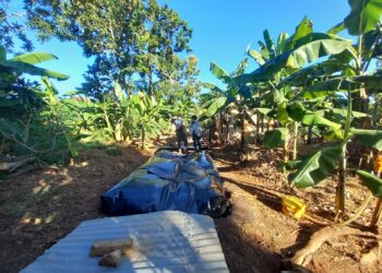 Le Fonds pour l’énergie durable en Afrique du Groupe de la Banque africaine de développement approuve une contribution de 10 millions de dollars au Fonds pour l’énergie propre KawiSafi II