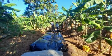 Le Fonds pour l&rsquo;énergie durable en Afrique du Groupe de la Banque africaine de développement approuve une contribution de 10 millions de dollars au Fonds pour l&rsquo;énergie propre KawiSafi II