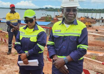 Le pangolin d’Afrique en danger