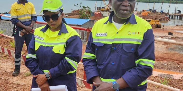 Le pangolin d’Afrique en danger